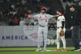 Cardinals Giants Baseball