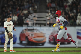 Cardinals Giants Baseball