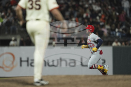 Cardinals Giants Baseball