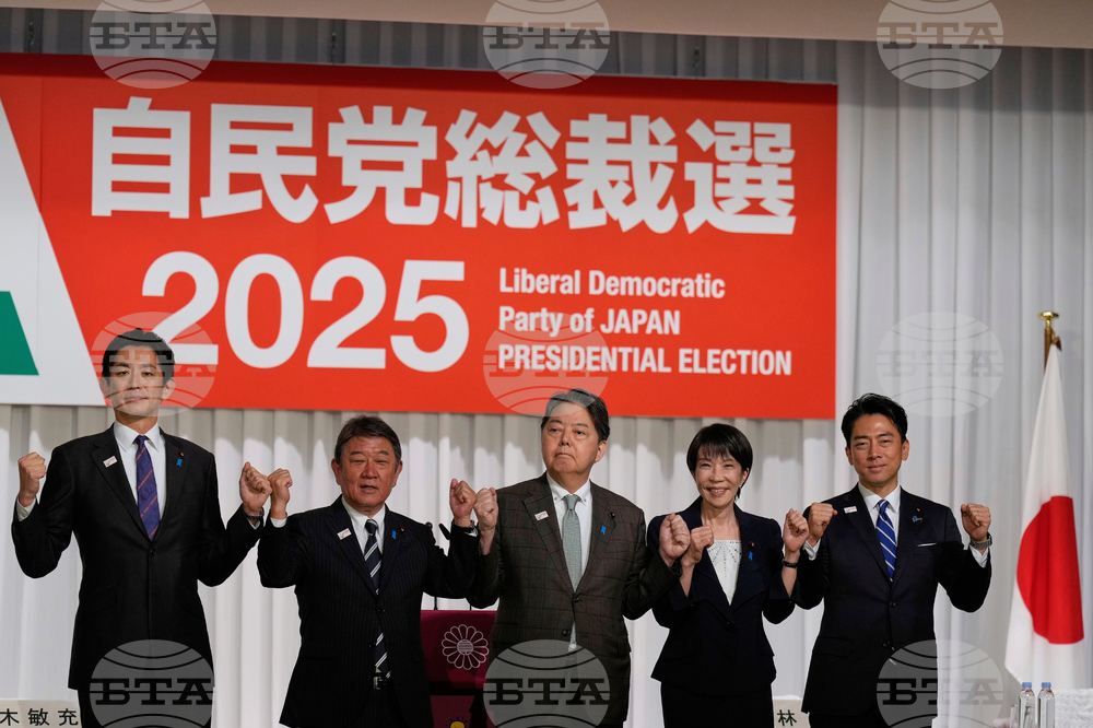 Japan Politics