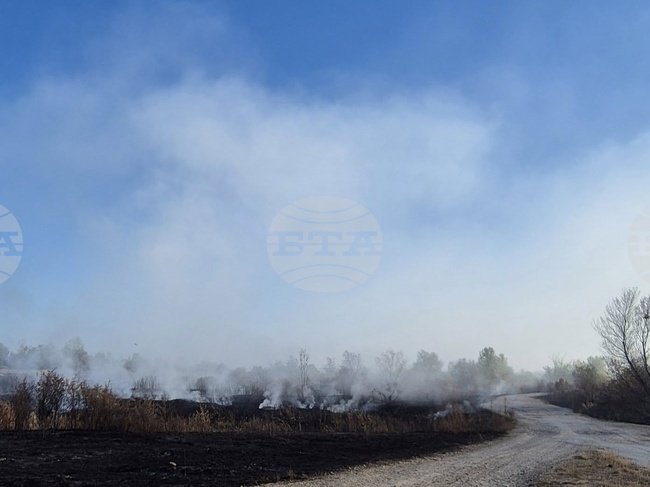 В землището на плевенското село Ясен са възникнали нови пожари, жителите се оплакват от задимяване