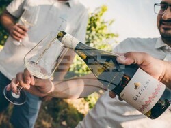 Шумен – винарна в село Царев Брод – възстановен български бял винен сорт Гергана 