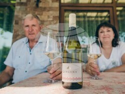 Село Царев Брод - Винарска изба Царев брод