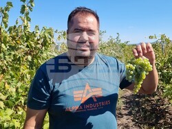 Село Царев Брод - Винарска изба Царев брод