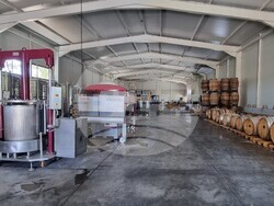 Село Царев Брод - Винарска изба Царев брод