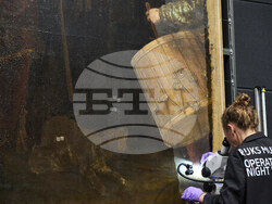 Netherlands Rembrandt Dog