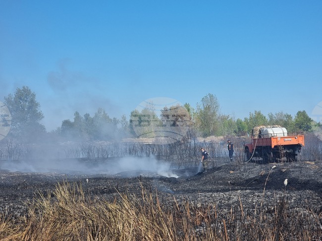 Пожарът между плевенските села Ясен и Дисевица е в зона по НАТУРА 2000