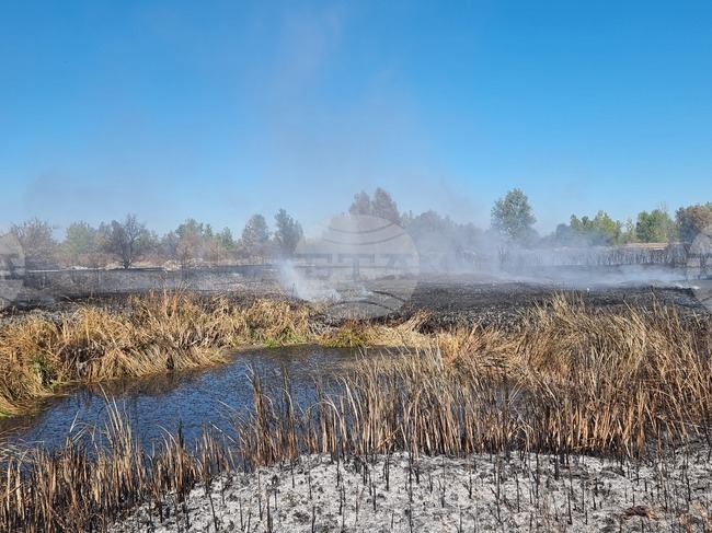 Община Плевен e в готовност да започне запръстяване на тлеещите огнища при блатата край село Ясен