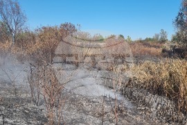 Село Ясен - пожар - тлеене на огнища