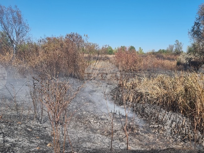 Екоинспекцията в Плевен е с отрицателно становище за запръстяване на тлеещите огнища при блатата край с. Ясен