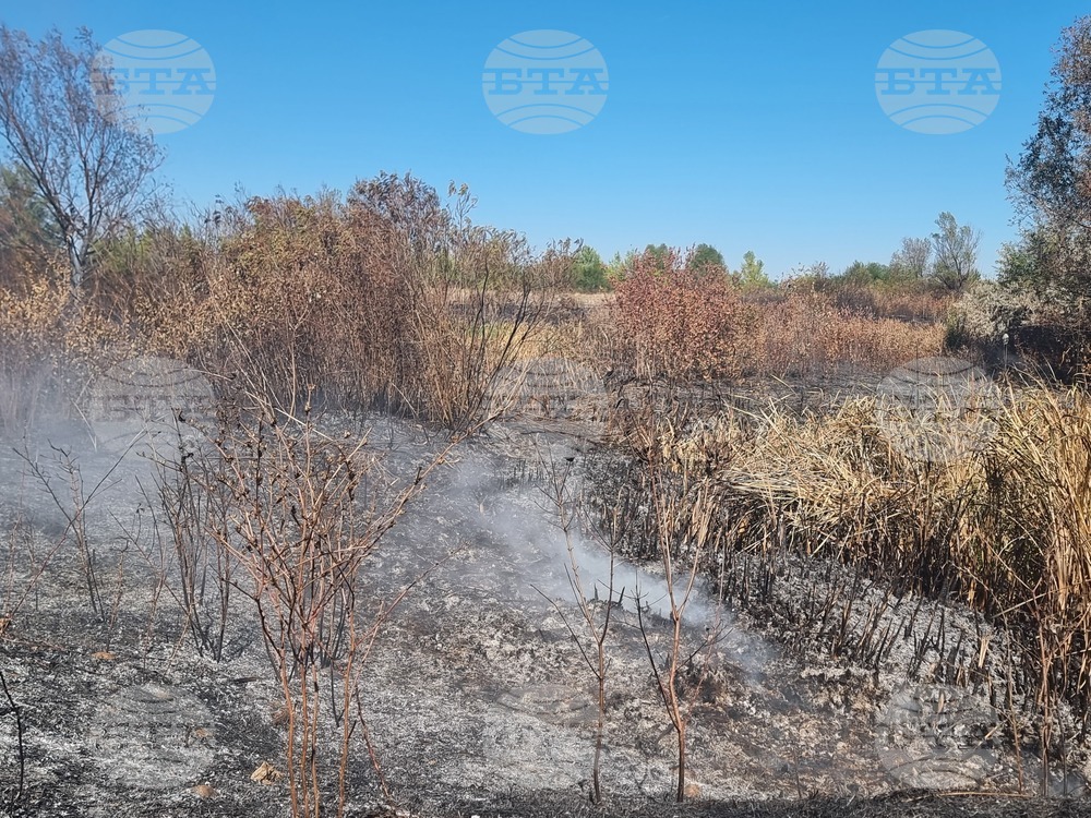 Село Ясен - пожар - тлеене на огнища