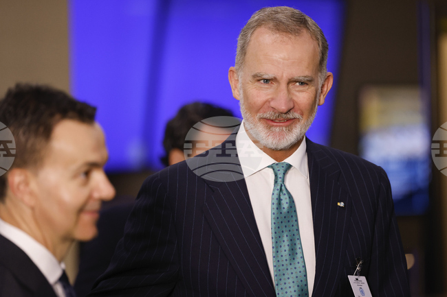 Никога досега идеята за Европа не е била толкова необходима, заяви испанският крал Фелипе VI