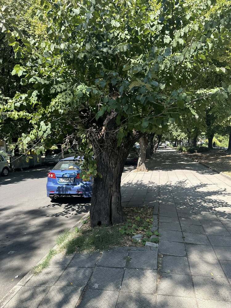 Обходен маршрут за превозни средства от градския транспорт по бул. „Славянски“ в Стара Загора утре