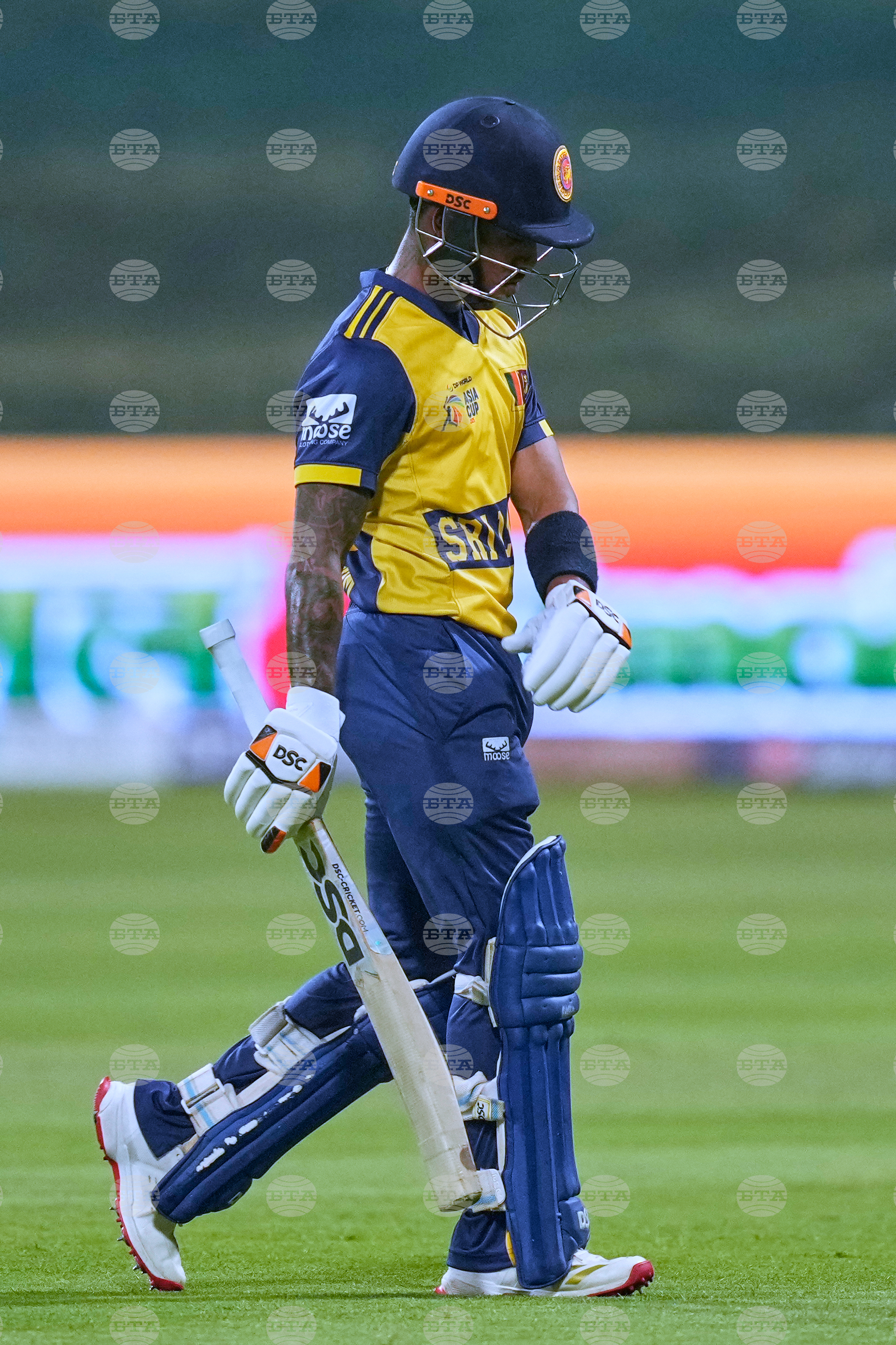 Emirates Asia Cup Cricket