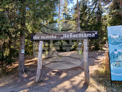 Смолян - убийство - брифинг