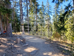 Смолян - убийство - брифинг