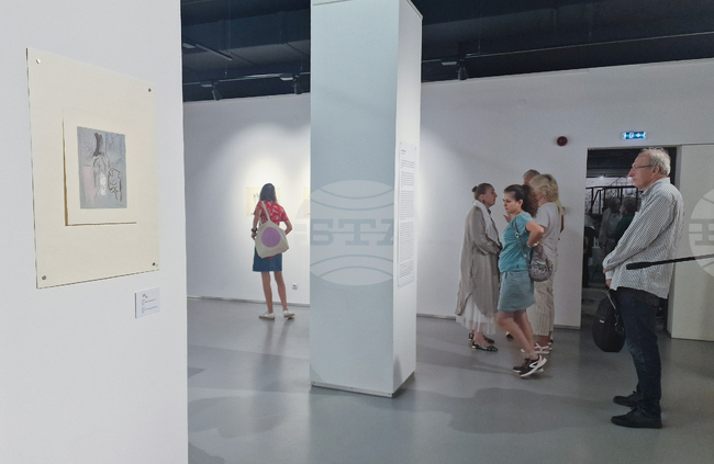 Казу Вакита е поетичен и изключително нежен автор, брилянтен живописец с мащабни произведения, каза Даниела Тодорова