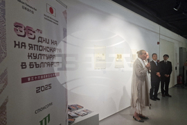 Казу Вакита - изложба