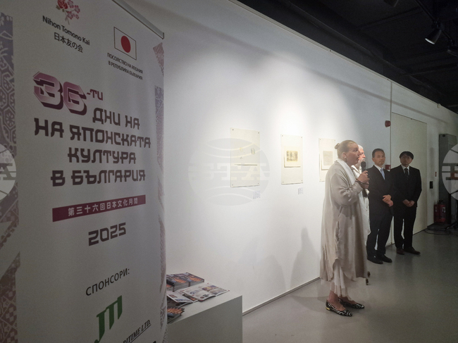 Казу Вакита - изложба