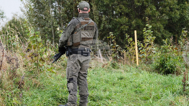 Естония обяви, че трима руски граничари са влезли незаконна на нейна територия