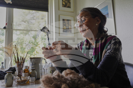 Denmark Greenland Apology