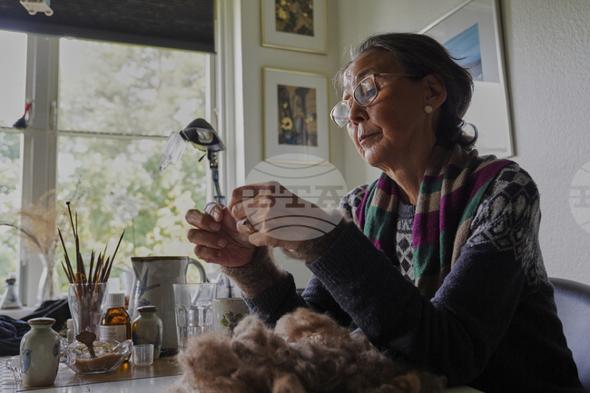 Denmark Greenland Apology