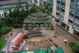 Hong Kong Asia Typhoon