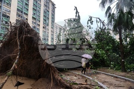 Hong Kong Asia Typhoon