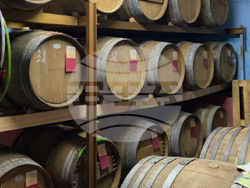 Свищов - Винарска изба „Габровски"