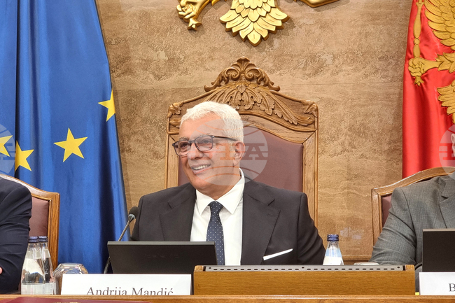 Мястото на Западните Балкани е в ЕС, а целта на Черна гора е да бъде първа на опашката, заяви председателят на черногорския парламент