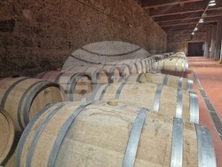 Село Оряховица - Винарска изба „Оряховица“