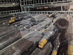 Село Оряховица - Винарска изба „Оряховица“