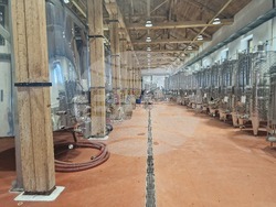 Село Оряховица - Винарска изба „Оряховица“