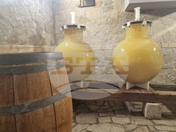 Село Оряховица - Винарска изба „Оряховица“