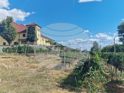 Село Оряховица - Винарска изба „Оряховица“