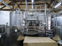 Село Брестовица - Винарна „Бендида"