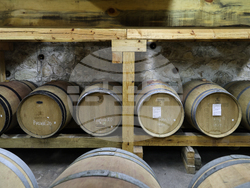 Село Брестовица - Винарна „Бендида"