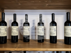 Село Брестовица - Винарна „Бендида"