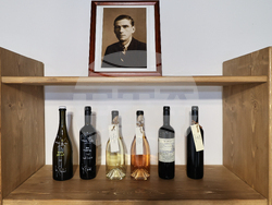 Село Брестовица - Винарна „Бендида"