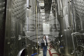 Нова Загора - Винарска изба „Angel’s Estate“