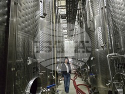 Нова Загора - Винарска изба „Angel’s Estate“