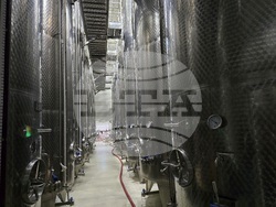 Нова Загора - Винарска изба „Angel’s Estate“