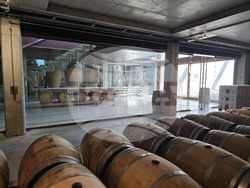 Нова Загора - Винарска изба „Angel’s Estate“