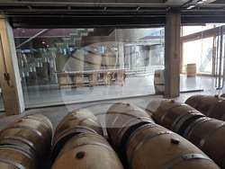 Нова Загора - Винарска изба „Angel’s Estate“