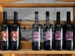 Село Първенец -  Винарна „Berenice"