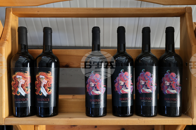 Близо 200 проби ще се включат в Международния дегустационен конкурс за вина и спиртни напитки "Винария" 2026