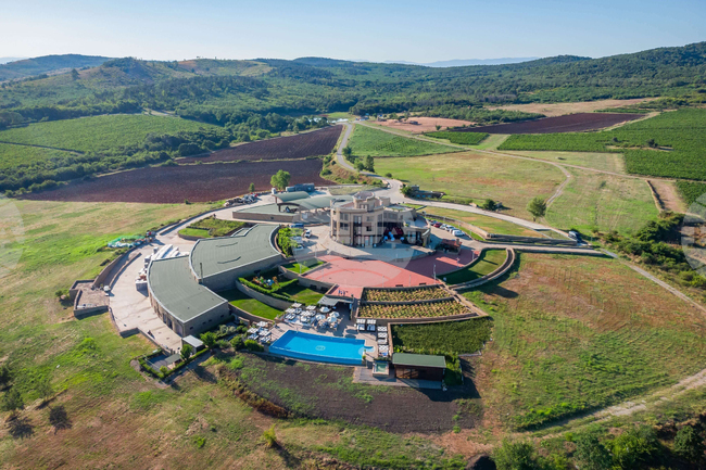 Edoardo Miroglio: New Wines Every Year