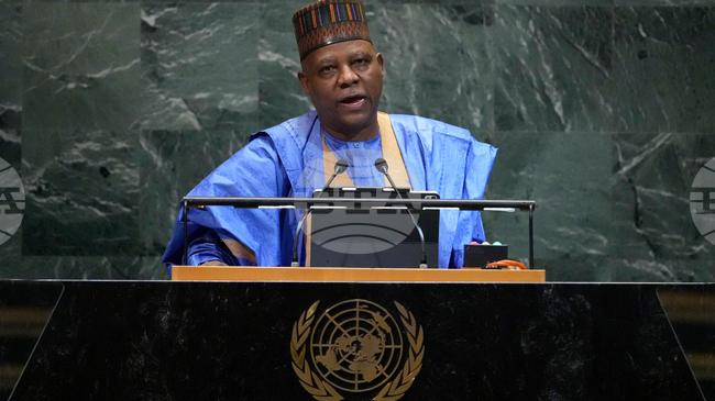 НАН: Нигерия се събуди от дългогодишна летаргия, заяви в Давос вицепрезидентът Кашим Шетима