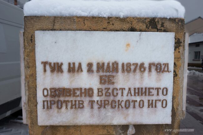 Чл.-кор. проф. д.ю.н. Атанас Семов представя документално-публицистичния филм за Новоселското априлско въстание "Девет глътки свобода"