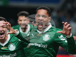 Brazil Argentina Copa Libertadores Soccer